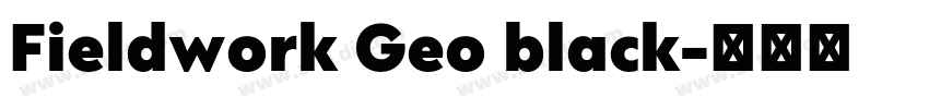 Fieldwork Geo black字体转换